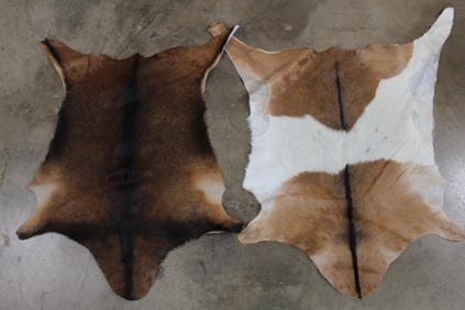 2 *Brand New* GOAT Hides (ONE$)
