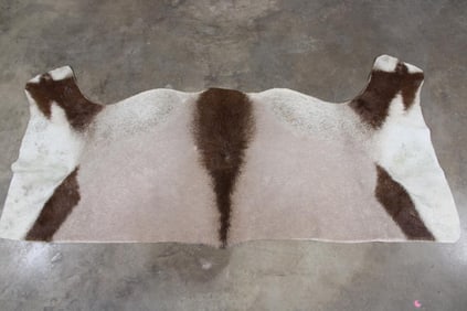 GEMSBOK Back Hide