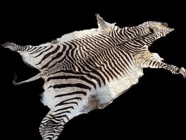 Beautiful XXL ZEBRA Hide or Rug