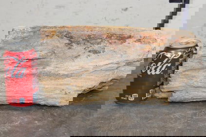 Big PETRIFIED FOSSILIZED Wood Log