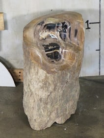 BIG 91.9lb Petrified Wood Log with a Polished Contour