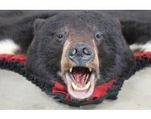 Double Felted BLACK BEAR Rug with Mounted Head
