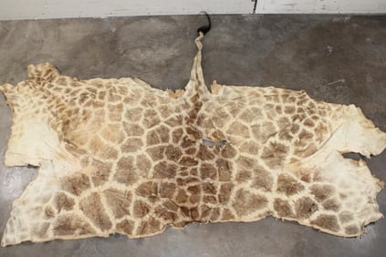 GIRAFFE Back Hide