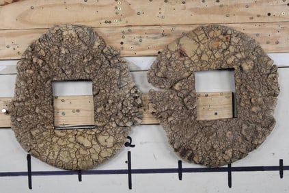2 ELEPHANT Sole Picture Frames with Wall Hanging Hardware (ONE$)