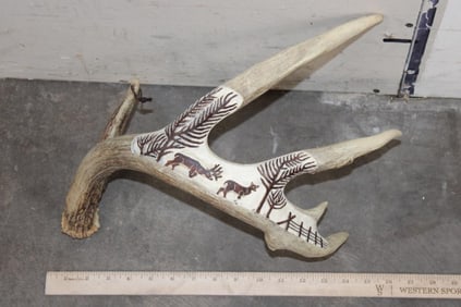 Scrimshawed WHITETAIL DEER Antler Shed