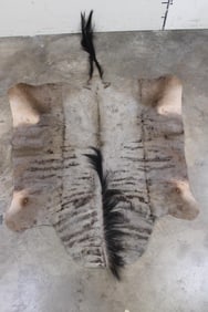 WILDEBEEST Back Hide