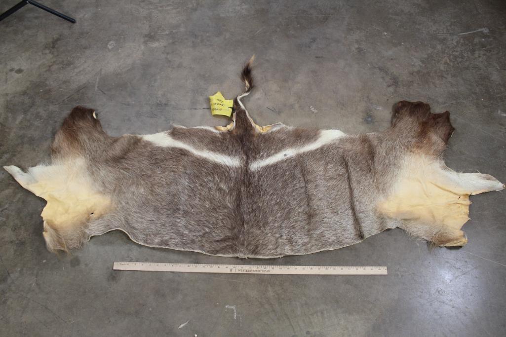 WATERBUCK Back Hide (1 of 5)