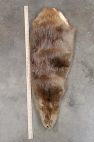BEAVER HIDE