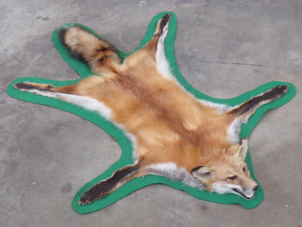 RED FOX Felted Rug with Mounted Head (1 of 11)