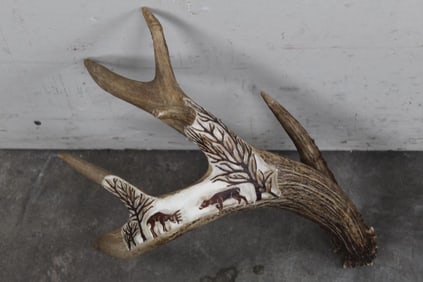 Scrimshawed WHITETAIL DEER Anter Shed