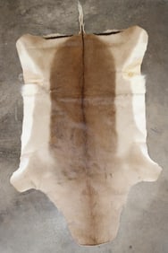 IMPALA Back Hide