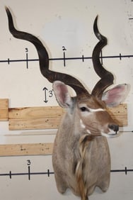KUDU Shoulder Mount