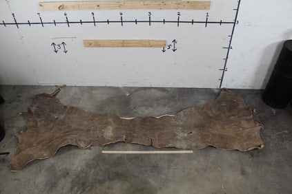 *TEXAS RESIDENTS ONLY* RHINO Back Hide