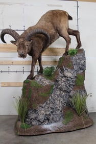 Life-sized TUR on a Rock Base with Wheels