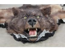 Double Felted WOLF Rug with its Mounted Head