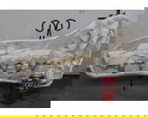 XL 31 Lb MOSASAUR Skull Fossil in its Original Rock Matrix with a Display Stand