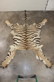 *TEXAS RESIDENTS ONLY* TIGER Back Hide with Paws, Pads, Claws, and Tail