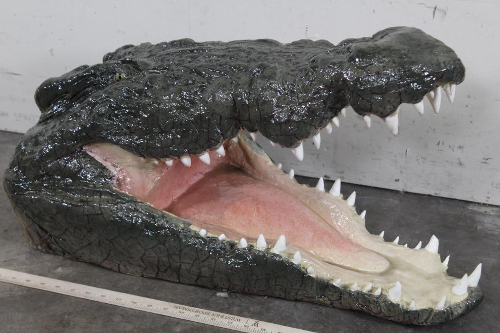 Reproduction CROCODILE Head from an 18'2" Crocodile (1 of 10)