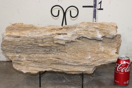 XL PETRIFIED WOOD Log with a Metal Display Stand