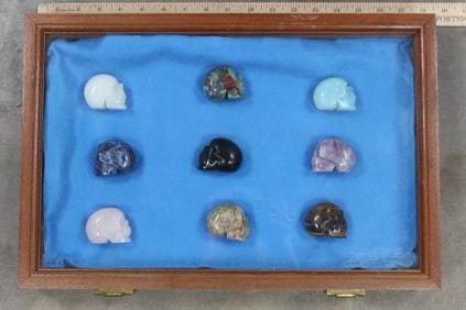 9 Semiprecious Stone and Crystal Skulls in Nice Display with Glass