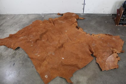 *TEXAS RESIDENTS ONLY* Tanned RHINO Hide