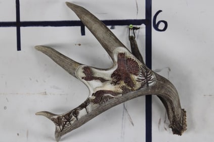 Hand Carved or Scrimshawed WHITETAIL DEER Antler Shed