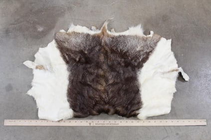 BLACKBUCK Back Hide with Tail
