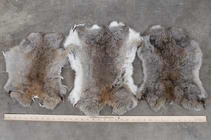 3 Very Soft RABBIT Pelts (ONE$)