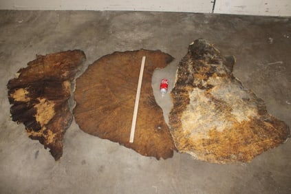 (3) Tanned *Real Skin* ELEPHANT HIDE Ears (ONE$)