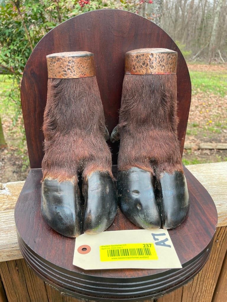*Rarely Seen* Set of Wood and Copper CAPE BUFFALO Foot Bookends: *Rarely Seen* Set of CAPE BUFFALO Foot Bookends. They are made with Wood and the Cape Buffalo Feet are capped with Copper. They measure 13" Tall x 12.5" Wide x 9" Depth. Awesome Texas, safari, and hun