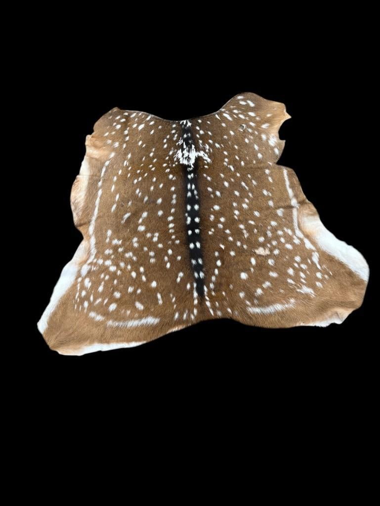 *New* Soft and Tanned AXIS DEER Hide/Skin (1 of 5)