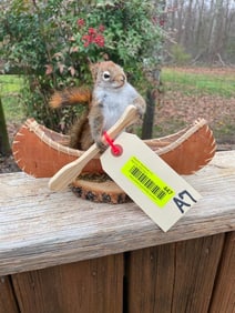 *New* Cute Little Life-sized PINE SQUIRREL in a Canoe on a Wood Slice