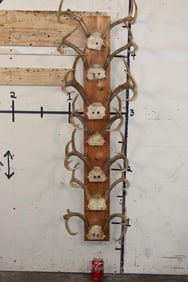 7 WHITETAIL DEER Antler Racks on a Wood Display Plaque