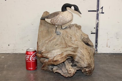 Hand Carved Canadian Goose on a Large DRIFTWOOD BASE
