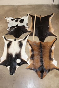 (4) GOAT Hides (ONE$)