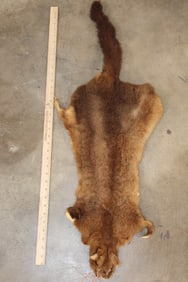 WALLABY Hide or Pelt