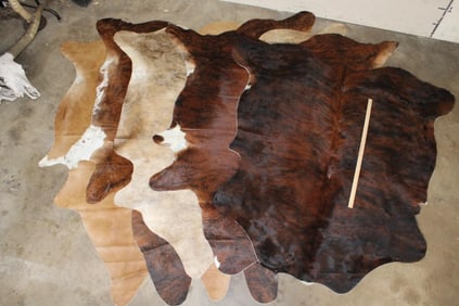 (5) *Brand New* Assorted Colored COWHIDES (ONE$)