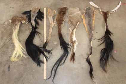(7) African Animal Tails (ONE$)