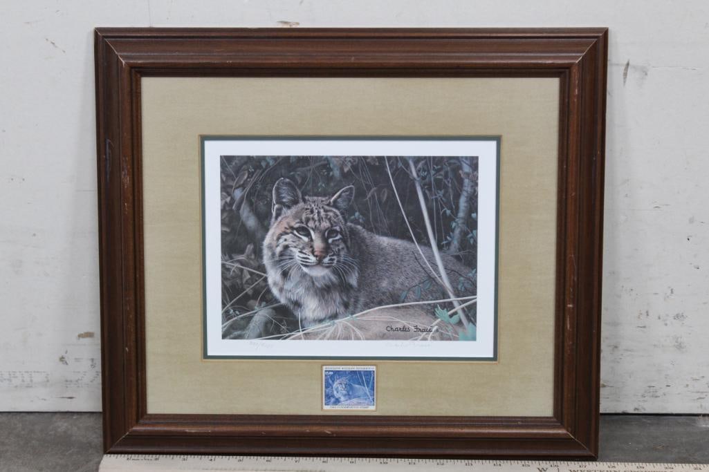 "Bobcat" by Charles Frace, Signed and Numbered Art Print, Framed with a 1983 Conservation Stamp (1 of 7)