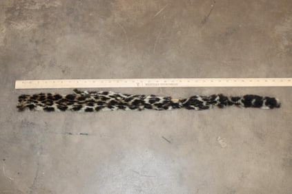 *TEXAS RESIDENTS ONLY* LEOPARD Tail