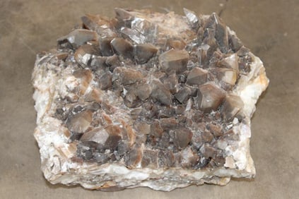 39 lb Smokey and Honey DOGTOOTH CALCITE Crystal Formation