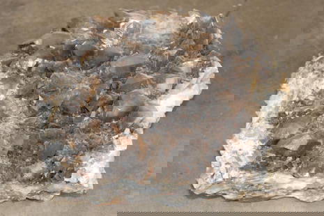 39 lb Smokey and Honey DOGTOOTH CALCITE Crystal Formation: Big 39 lb 6 oz mostly Smokey with some Honey DOGTOOTH CALCITE Crystal Formation. This is a Natural and Raw Crystal Specimen. It measures 12.5" Long x 11" Wide x 7" Thick. Smokey honey calcite combines