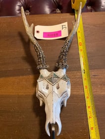 Reproduction ROE DEER Skull and Antlers on a Display Stand