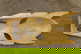 item-209901606=8