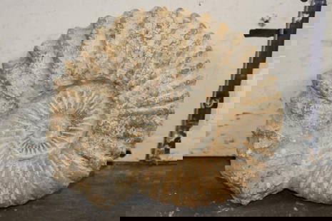 Big 11 lb AMMONITE FOSSIL Specimen from Morocco: Big AMMONITE FOSSIL from Morocco. It measures 9.5" Long x 8.75" Wide x 3" Thick and the Total Weight is 11 lbs 9 oz. This ammonite fossil is the preserved remains of an extinct marine mollusk, specifi