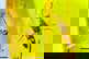 item-209901671=1