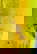 item-209901671=4