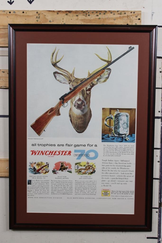 Reproduction Framed Winchester Color Print Advertisement from True Magazine 1965: Reproduction (The image has been enlarged) framed Winchester Model 70 Rifle Advertisement from True Magazine 1965. It is in a nice 40.75" Long x 28.75" Wide wood and glass frame. COLLECTIBLE HUNTING A