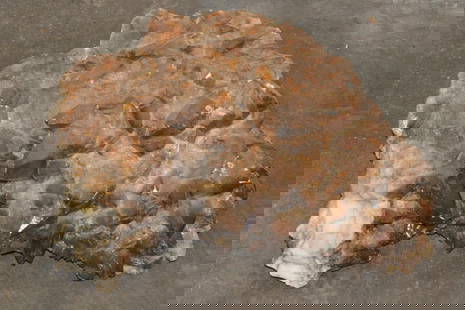 XL 45 lb Honey and Smoky DOGTOOTH CALCITE Crystal Cluster Formation: XL Natural and Raw Honey with Smoky DOGTOOTH CALCITE Crystal Cluster. It measures 18" Long x 16" Wide x 6.5" Thick and Weighs 45 lbs 6 oz. Honey Calcite encourages a positive mindset, sparks enthusias