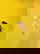 item-209901715=4
